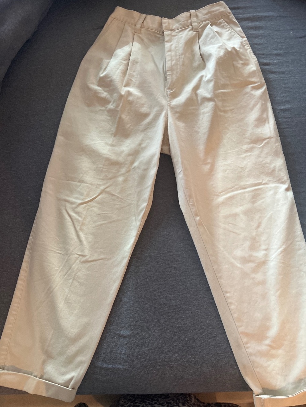 Gap Classic Pleated Chino Pants – Beige